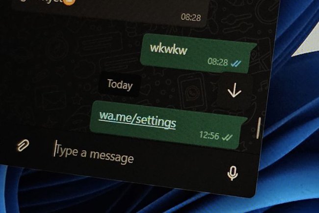 Penjelasan Chat "WA Me Settings" Bikin WhatsApp Crash hingga cara mengatasinya