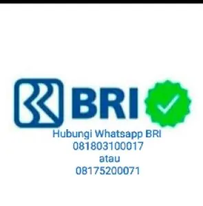 Begini Cara atasi Lupa PIN BRImo solusi buka blokir akun BRImo salah password dan pin Transaksi