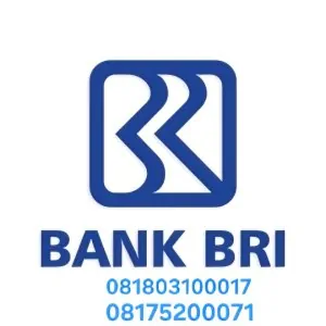 Cara Atasi Lupa PIN Dan Password dan Username Untuk Buka Blokir BRImo